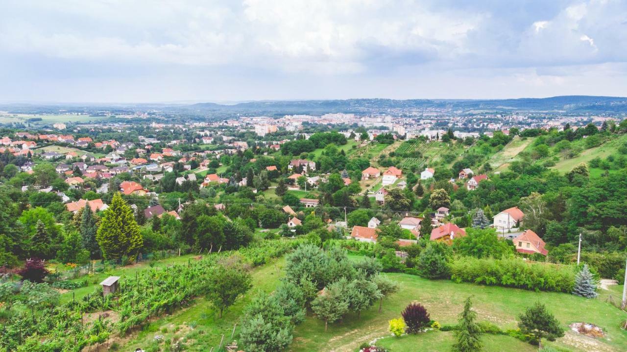 זלאגרסג Villa Garden מראה חיצוני תמונה
